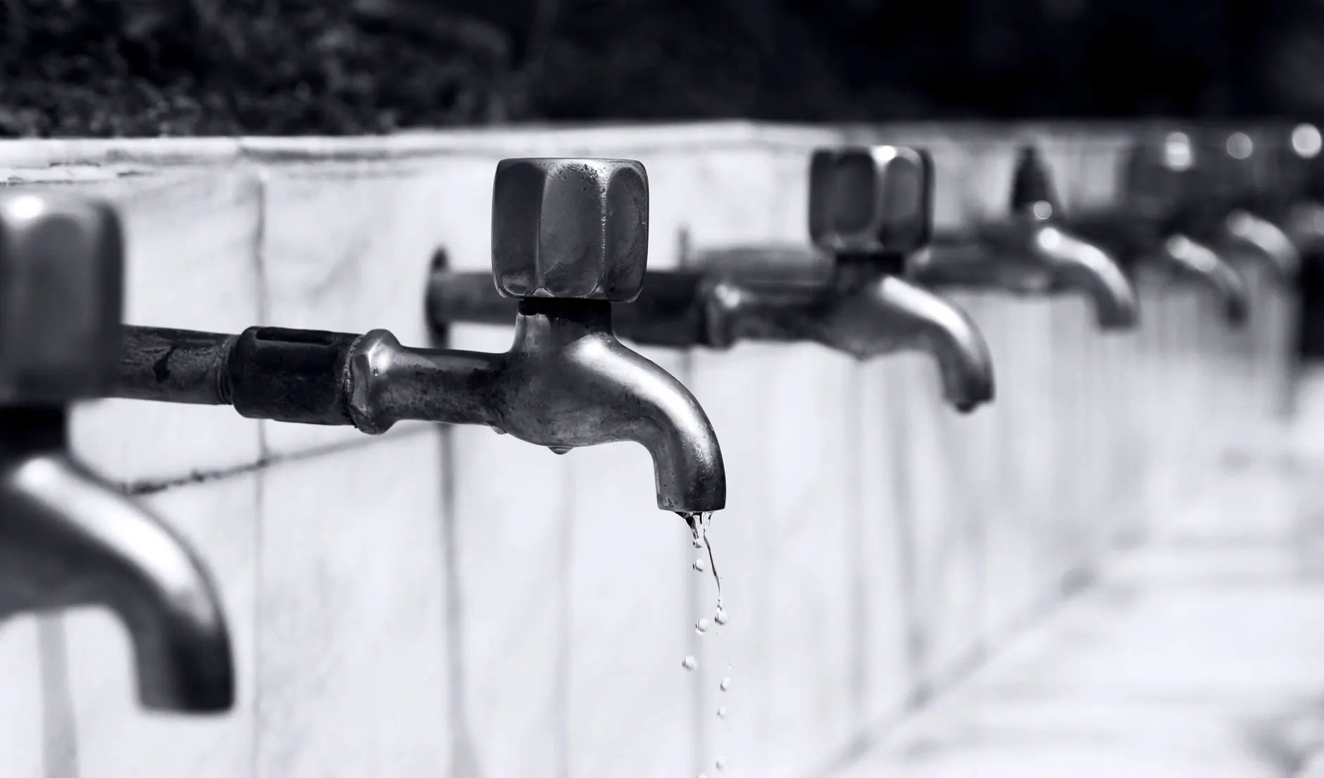 Collapsed or Rooted Drains and CCTV Surveys